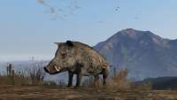 In GTA 5 you can turn into a wild boar!
