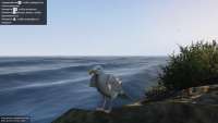 In GTA 5 you can turn into a Seagull!