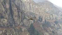 In GTA 5 you can turn into a cormorant!