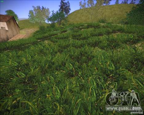 New grass for GTA San Andreas