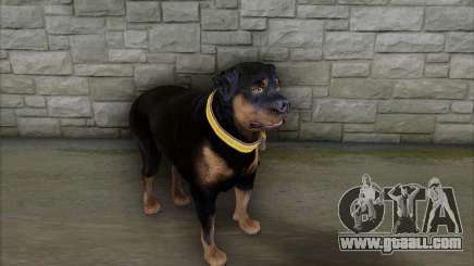 Rottweiler from GTA 5 for GTA San Andreas