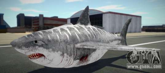 Shark Plane