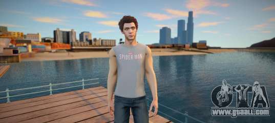 Peter Parker Skin