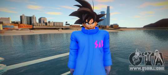 Goku SAB Coat