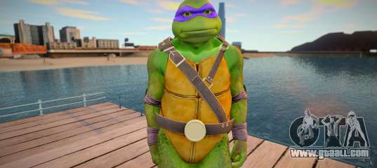 Ninja Turtles - Donatello