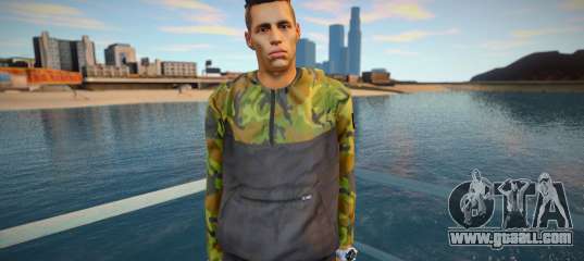Hamsik Marek