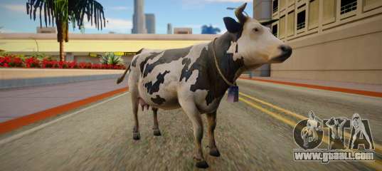 Cow