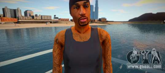 BDrugD for GTA San Andreas