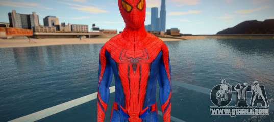 Spider-Man (good skin)