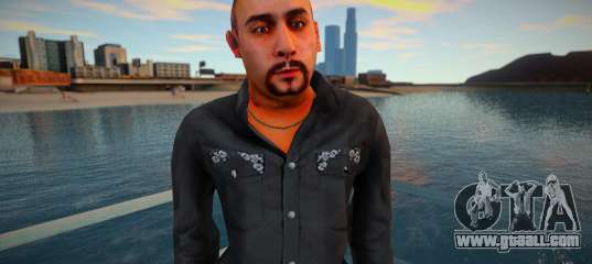 Armenian skin v6
