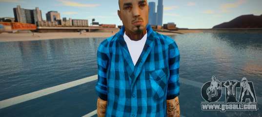New Cesar Skin