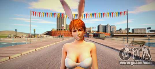 Kasumi rabbit bikini