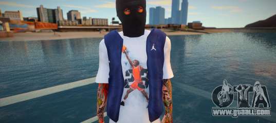 Masked bandit (good skin)