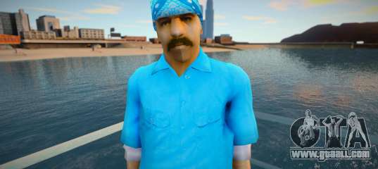 SFRifa 3