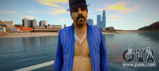 New sfr1 skin