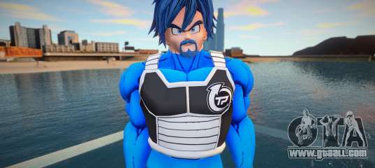 Male from Dragon Ball