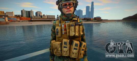 Call Of Duty Modern Warfare - Woodland Marines 3