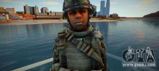 Call Of Duty Modern Warfare 2 - Battle Dress 9