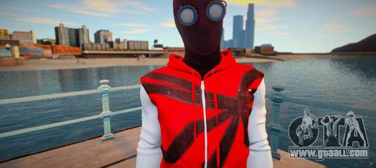 Miles Morales Homemade