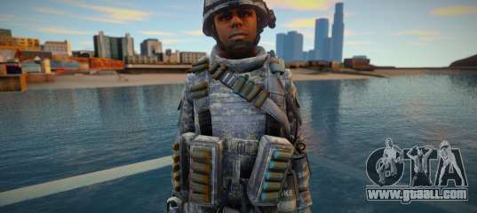 Call Of Duty Modern Warfare 2 - Army 3
