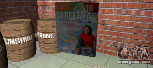 Algebra. Didactic book for GTA Vice City