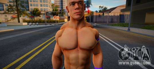 John Cena v3