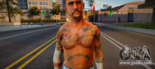 Cm Punk WWE13