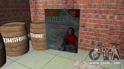 Algebra. Didactic book for GTA Vice City