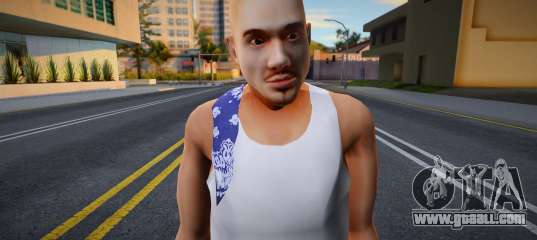 Fam 3 skin