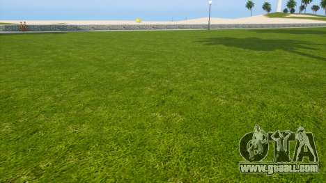 Grass Remove (removes grass to increase FPS)