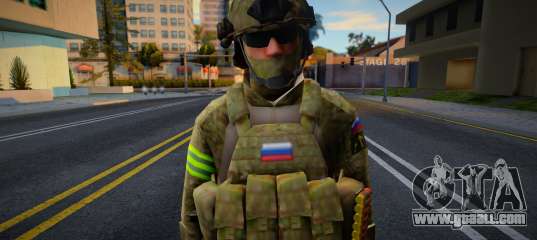 Federal Security Service (FSB) v3