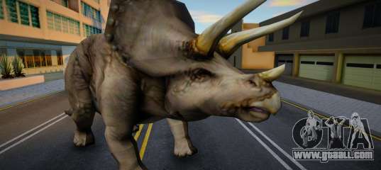 Triceratops