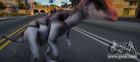 Homalocephale