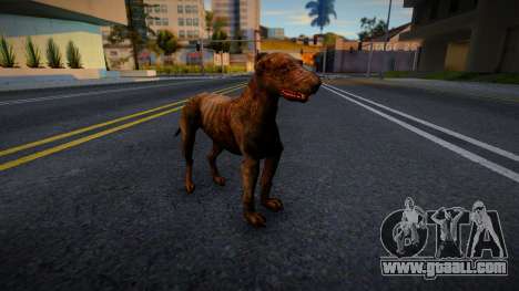 The Dog from S.T.A.L.K.E.R. for GTA San Andreas