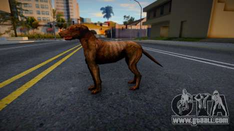 The Dog from S.T.A.L.K.E.R. for GTA San Andreas