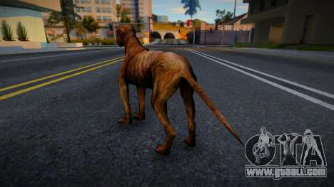 The Dog from S.T.A.L.K.E.R. for GTA San Andreas