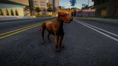 The Dog from S.T.A.L.K.E.R. for GTA San Andreas