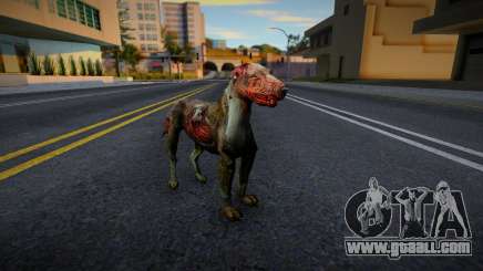 Dog from S.T.A.L.K.E.R. v3 for GTA San Andreas