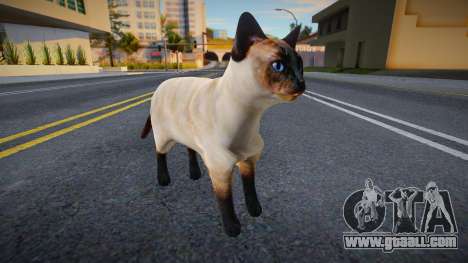 Siamese cat for GTA San Andreas