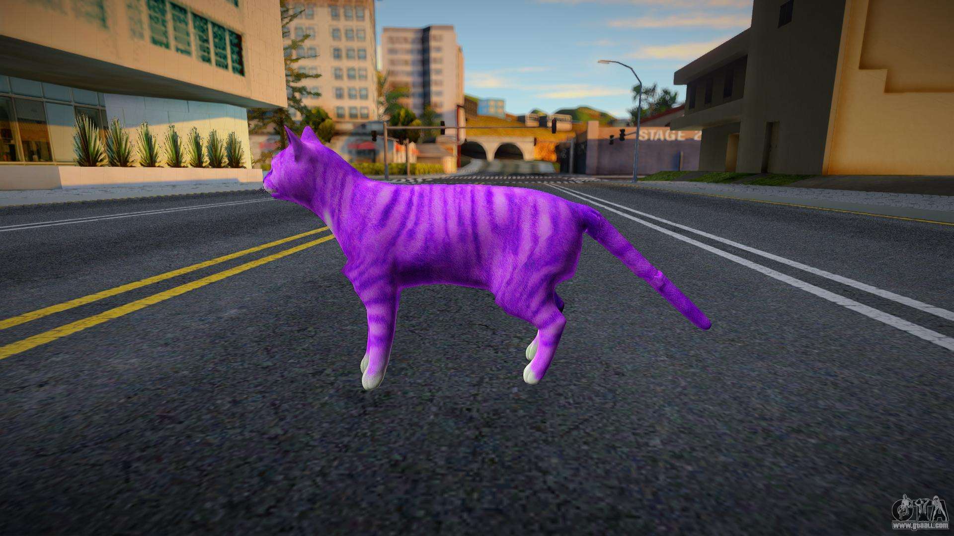 Фиолетовый кот из попи. Фиолетовый кот. Мод на котов. Фиолетовый котик игра. Игра про фиолетового кота.