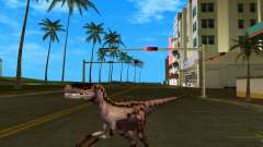 Velociraptor for GTA Vice City