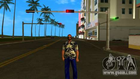 HD Pgb for GTA Vice City