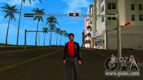 HD Hmyst for GTA Vice City