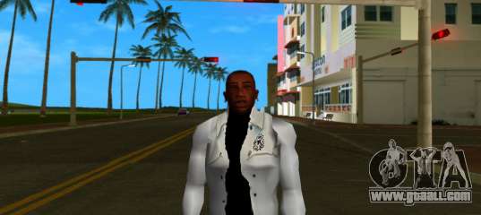 The Game Skin 2 for GTA Vice City
