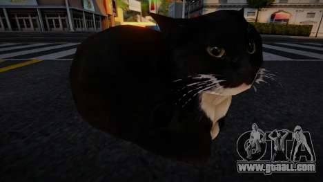 Maxwell The Cat Dingus for GTA San Andreas