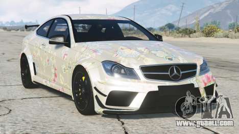 Mercedes-Benz C 63 AMG Black Series Coupe S8