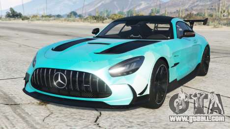 Mercedes-AMG GT Black Series (C190) S9 [Add-On]