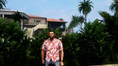 Themed Hawaiian shirt v4 for GTA Vice City Definitive Edition