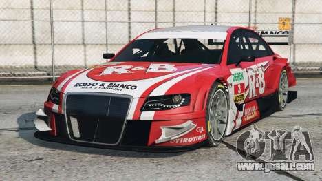 Audi A4 DTM Tulip