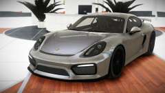 Porsche Cayman GT4 X-Style